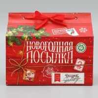 Коробка для сладостей &laquo;Новогодняя посылка&raquo;, 10 х 18 х 14 см