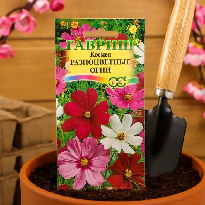 Семена цветов Космея "Разноцветные огни", ц/п,  0,5 г