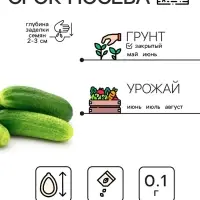 Семена Огурец "Либелле", 0,1 г