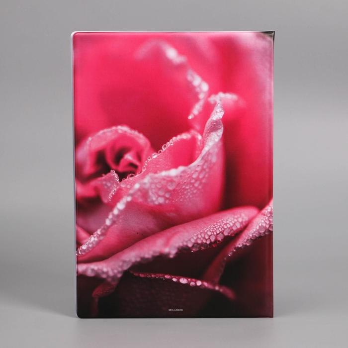 Папка для семейных документов &laquo;Docs&raquo;, 8 файлов А4