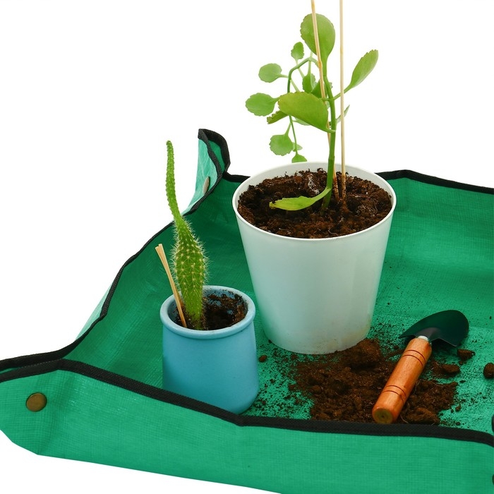 Поддон для рассады, 50 &times; 50 см, складной, зелёный, Greengo