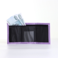 Кошелёк детский на липучке &laquo;Выбражулька&raquo;, цвет разноцветный