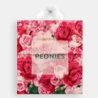 Пакет &laquo;Изобилие пионов&raquo;, полиэтиленовый, с петлевой ручкой, 42&times;38 см, 37 мкм