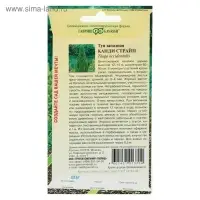 Семена Туя западная "Канди Страйп", ц/п,   0,05 г