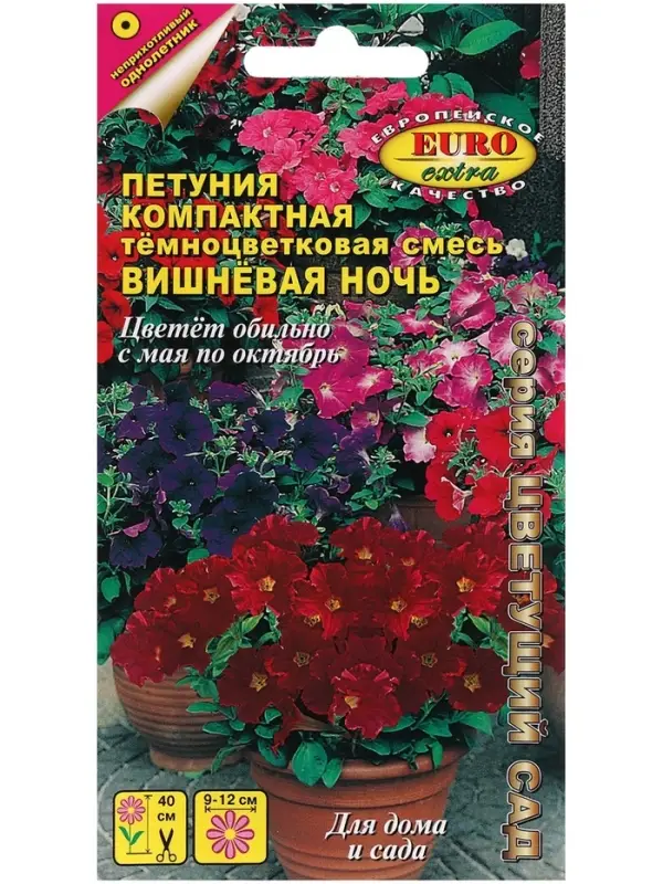 Семена цветов Петуния "Вишневая ночь", компактная, низкорослая, 0,05 г