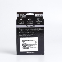 Головоломка Игры разума &laquo;Раздели на части&raquo; №9