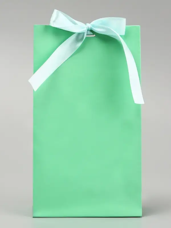 Пакет подарочный с лентой &laquo;Бирюзовый&raquo; 13&times;23&times;7 см, 1 шт.