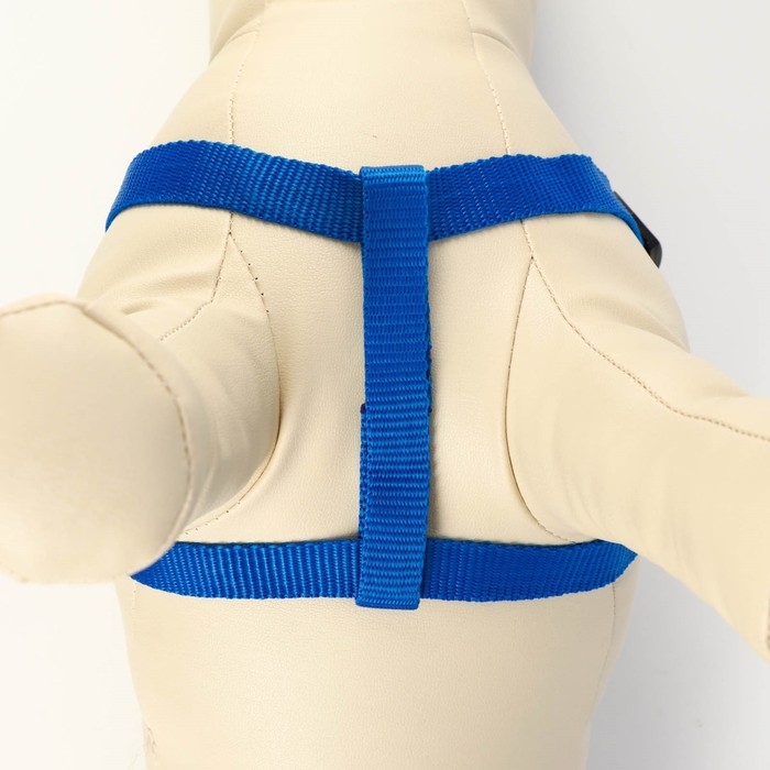 Комплект &laquo;Базис&raquo;, поводок 120&times;1.5 см, шлейка 32-46&times;1.5 см, синий