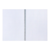 Тетрадь А4 на спирали, 80 листов в клетку, ErichKrause Pastel, пластиковая обложка, блок офсет 100% белизна, МИКС