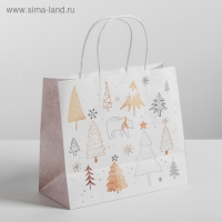 Пакет подарочный новогодний крафт &laquo;Волшебство&raquo;, 25 х 22 х 12 см