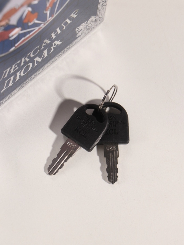 Сейф-книга дерево кожзам "Александр Дюма. Три мушкетёра" тиснение 21х13х5 см