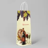 Пакет подарочный под бутылку, упаковка, &laquo;Поздравляю&raquo;, белый крафт, 13 х 36 х 10 см