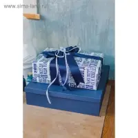 Бумага упаковочная глянцевая &laquo;Больших побед&raquo;, 60 х 90 см