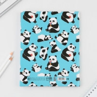 Дневник школьный 5-11 класс &laquo;Панды&raquo;, твердая обложка 7БЦ, глянцевая ламинация, 48 листов