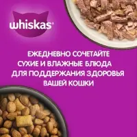 Влажный корм Whiskas для кошек, рагу с телятиной, 75 г