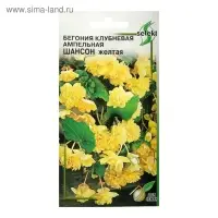 Семена цветов Бегония ампельная "Шансон" клубневая, желтая, 10 шт