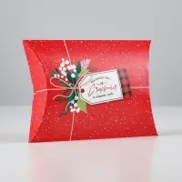 Коробка новогодняя складная фигурная &laquo;Новогодняя посылка&raquo;, 19 х 14 х 4 см, Новый год