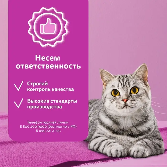 Сухой корм Whiskas для кошек, курица/индейка, подушечки, 1,3 кг