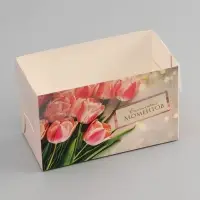 Коробка для 2 капкейка с прозрачной крышкой, &laquo;Счастливых моментов&raquo;, 16&times;8&times;10 см