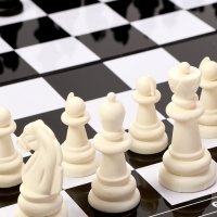 Шахматы магнитные 31 х 31 см, король h-5.8 см, d-2.3 см, доска и фигуры пластик