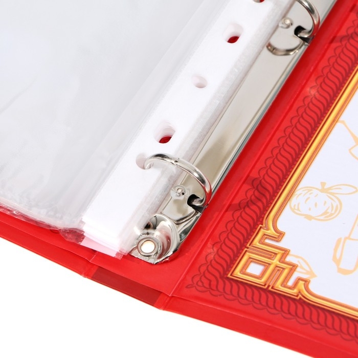 Папка школьная на кольцах &laquo;Портфолио школьника&raquo;, 13 листов-разделителей, 24,5 х 32 см.