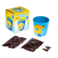 Набор для опытов &laquo;Выращиваем травку&raquo;, птичка