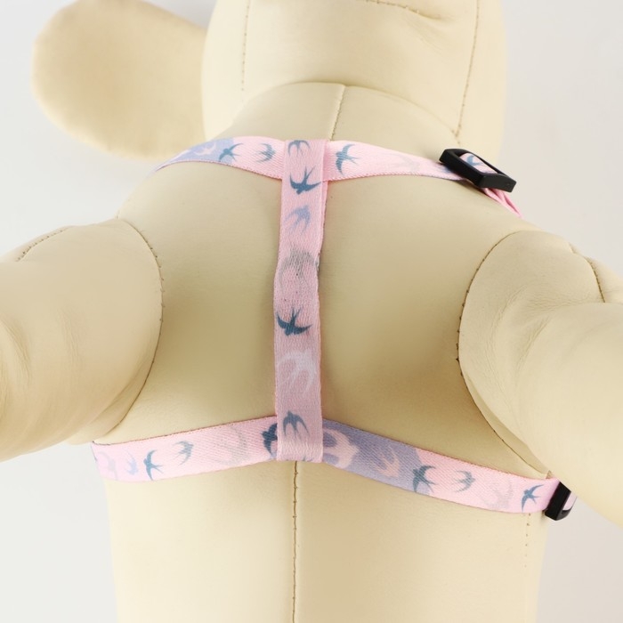 Комплект &laquo;Ласточки&raquo;, шлейка 24-36 см, поводок 120х1 см