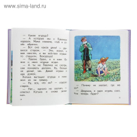 &laquo;Живая шляпа&raquo;, Носов Н. Н.