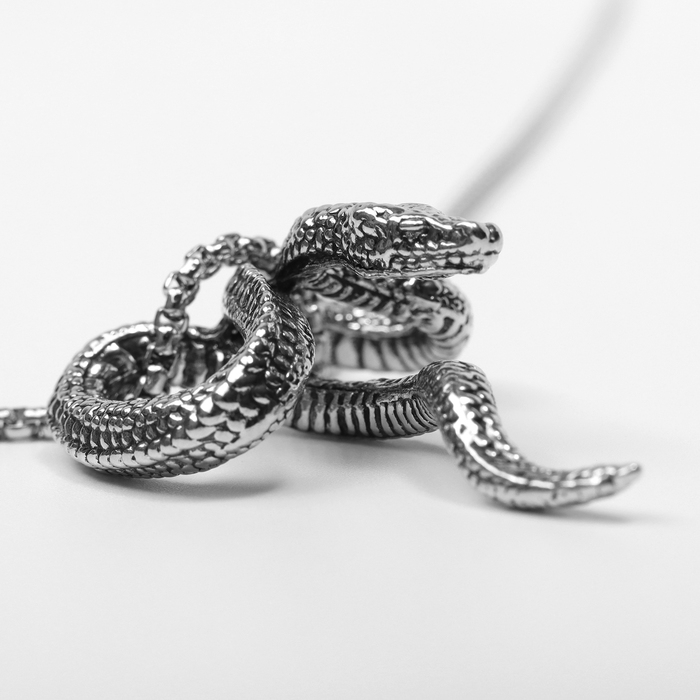 Новый год! Символ года 2025! Кулон &laquo;Змея&raquo;, цвет серебро, 60 см