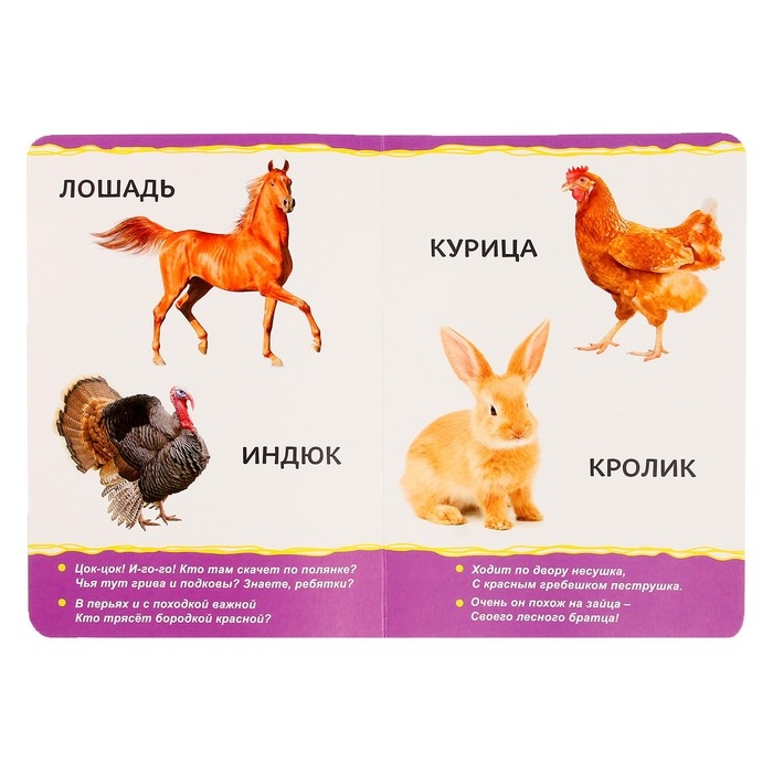Книжка картонная &laquo;Домашние животные&raquo; 10 стр., МИКС
