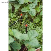 Форсунка - ороситель разбрызгивающая для капельного полива, d=5 мм, пластик, с пикой, Greengo