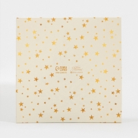 Коробка для кондитерских изделий с PVC крышкой &laquo;Елка&raquo;, 21 х 21 х 3 см