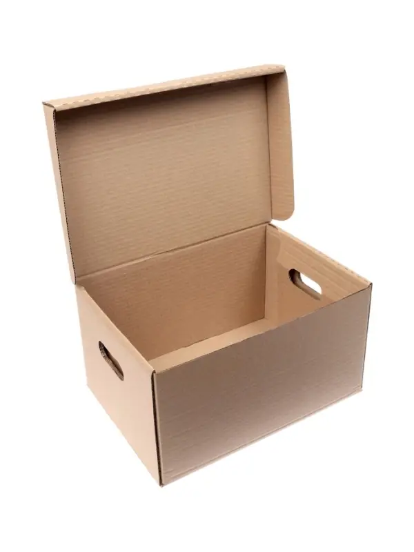 Короб архивный Делопроизводство", 325*235*180, крафт