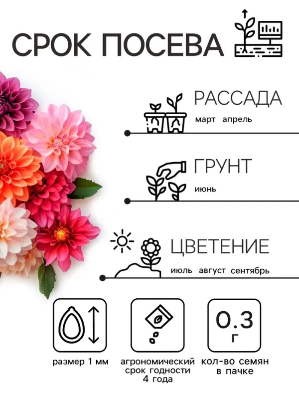 Семена цветов Георгин "Махровая смесь", 0,3 г