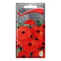 Набор семян Календула махровая "Ред виз блэк центр", 5 шт.