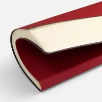 Ежедневник Flex Shall New, недатированный, красный