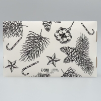 Коробка для эклеров с вкладышами &laquo;Волшебного Нового года!&raquo;, 25.2 х 15 х 7 см, Новый год