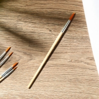 Кисть для рисования набор 5 шт. синтетика круглые &laquo;Искусство должно быть во всем&raquo; № 2, 4, 6, 8, 10