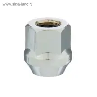 Гайка колесная 12&times;1.5 под ключ 19 мм, конус, открытая, хром, фасовка 20 шт