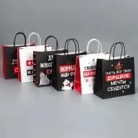 Набор новогодних пакетов &laquo;Пусть мечты сбудутся&raquo;