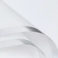 Пленка для цветов, &laquo;Серебряный кант&raquo;, белый, 57&times;57&plusmn;1 см