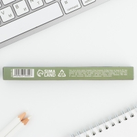 Ручка шариковая, пластик &laquo;23 февраля&raquo;