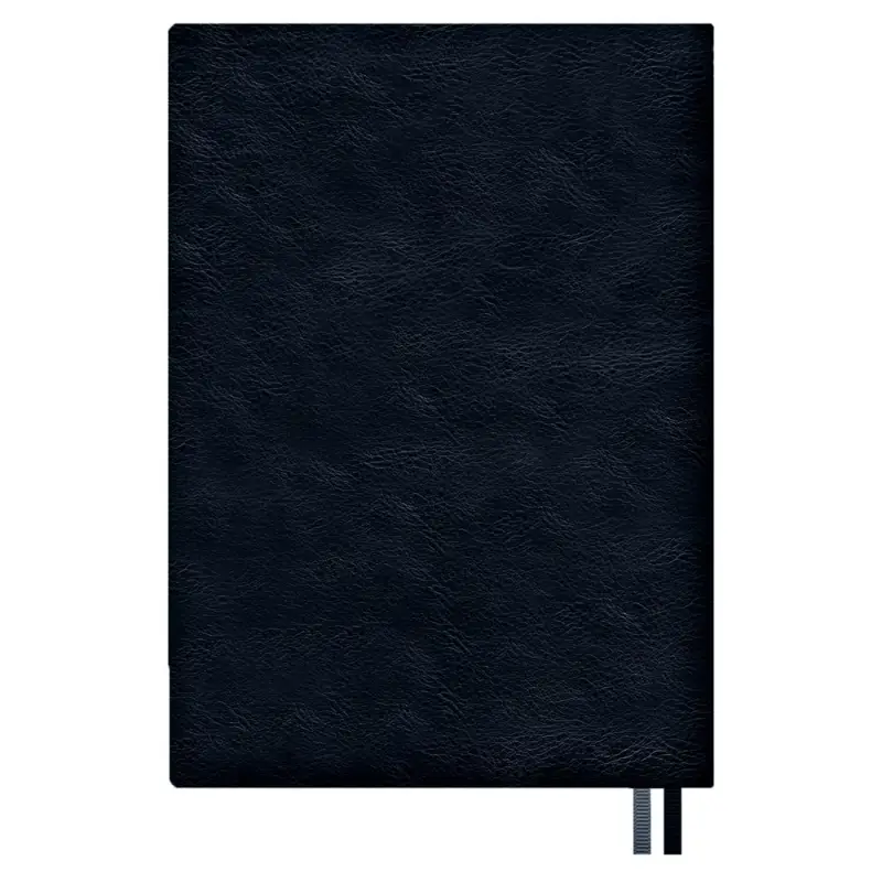 Ежедневник Merida, датированный, синий