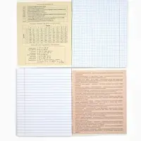 Тетради предметные, 48 л., набор из 12 шт., блок №1, Flowers