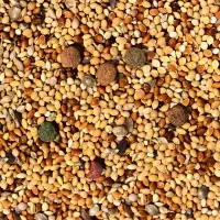 Корм "Верные друзья" для мелких и средних попугаев, 500 г