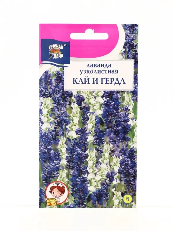 Семена цветов Лаванда КАЙ и ГЕРДА 5 шт.