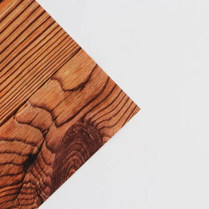 Бумага упаковочная глянцевая двухсторонняя &laquo;Дерево&raquo;, 70 х 100 см