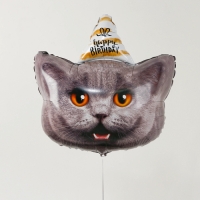 Воздушный шар фольгированный 24" &laquo;Кот &mdash; с днём рождения&raquo;, с подложкой