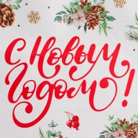 Новый год. Пакет бумажный подарочный новогодний крафт "Новый год" 27 х 21 х 11 см.