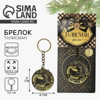 Брелок новогодний, для ключей &laquo;Счастливый рубль&raquo;, диам. 4 см